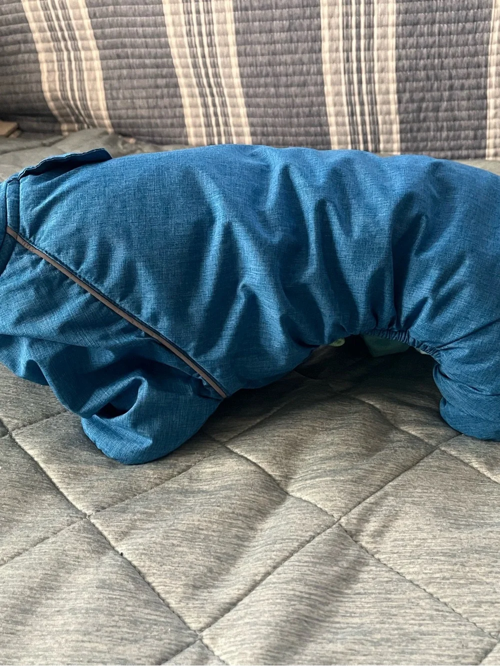 Ricki's High Performance. Blue Insulated Dog Snow/Track Suit - Size S